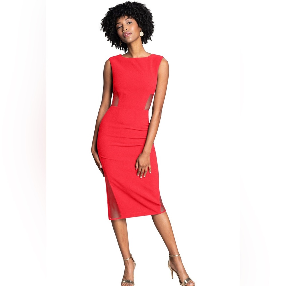 Dress the Population Bryson Dress - Red Dress with Mesh Panels